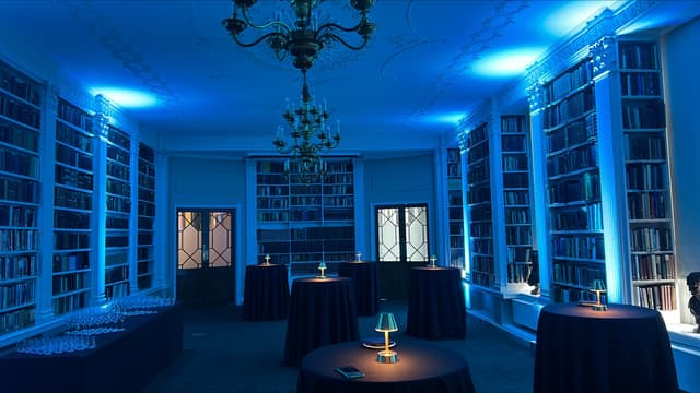 The Royal Institution