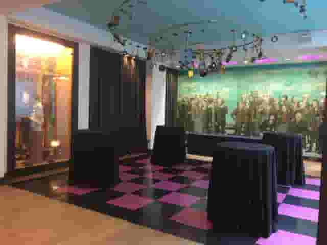 The Royal Institution