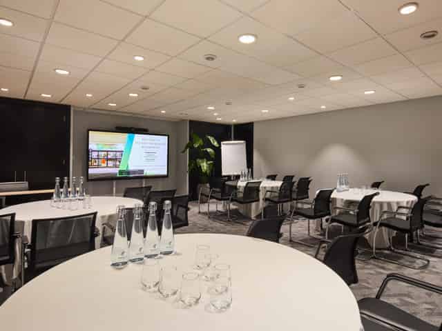 Catey Suite