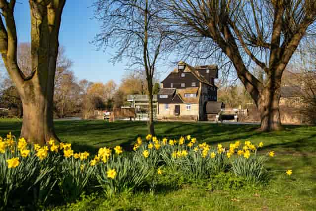 Houghton Mill and Waterclose Meadows - image 2