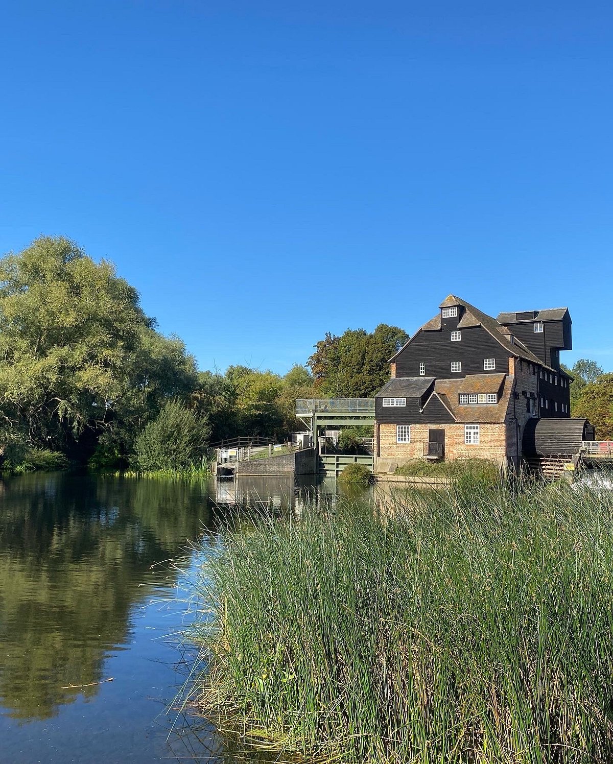 Houghton Mill and Waterclose Meadows - image 1
