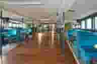 Sports Bars