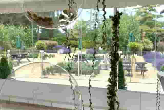 Outdoor courtyard