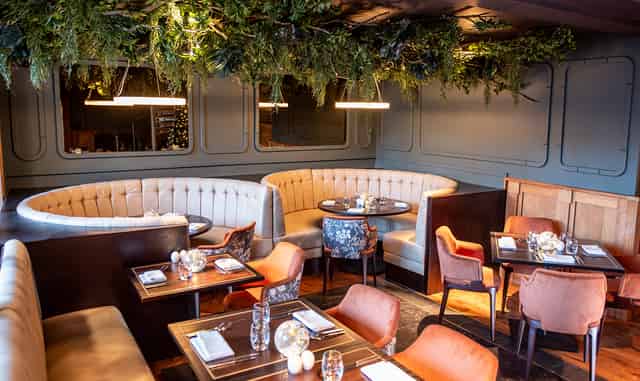 Lime Trees Suite