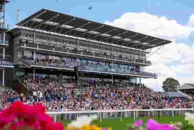 Knavesmire Stand Boxes