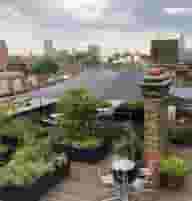 Outdoor Terraces