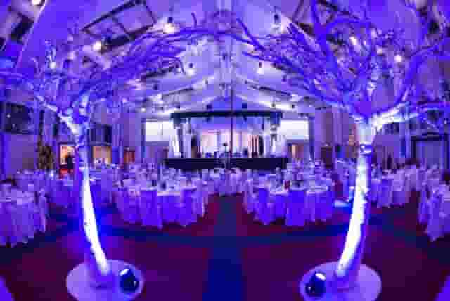 Dallas Burston Polo Club