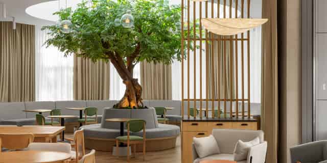 Terrace room