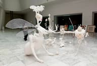 Formal Event Venues