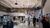 Formal Event Venues