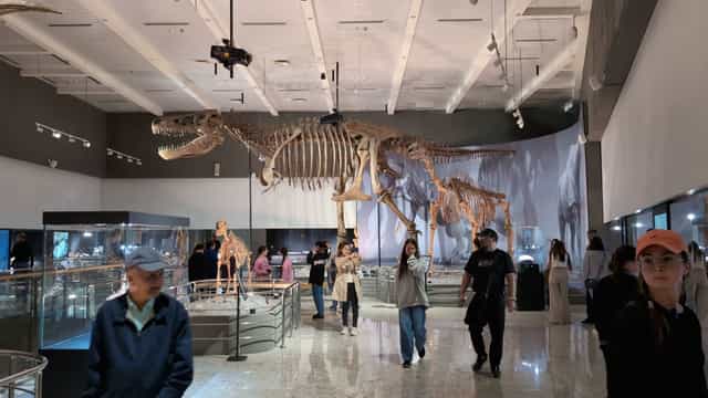 Dinosaur skeleton event venue at National Museum of Kazakhstan for gala or cocktail reception.