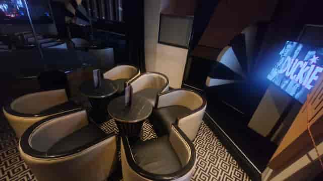 The White Swan - image 2
