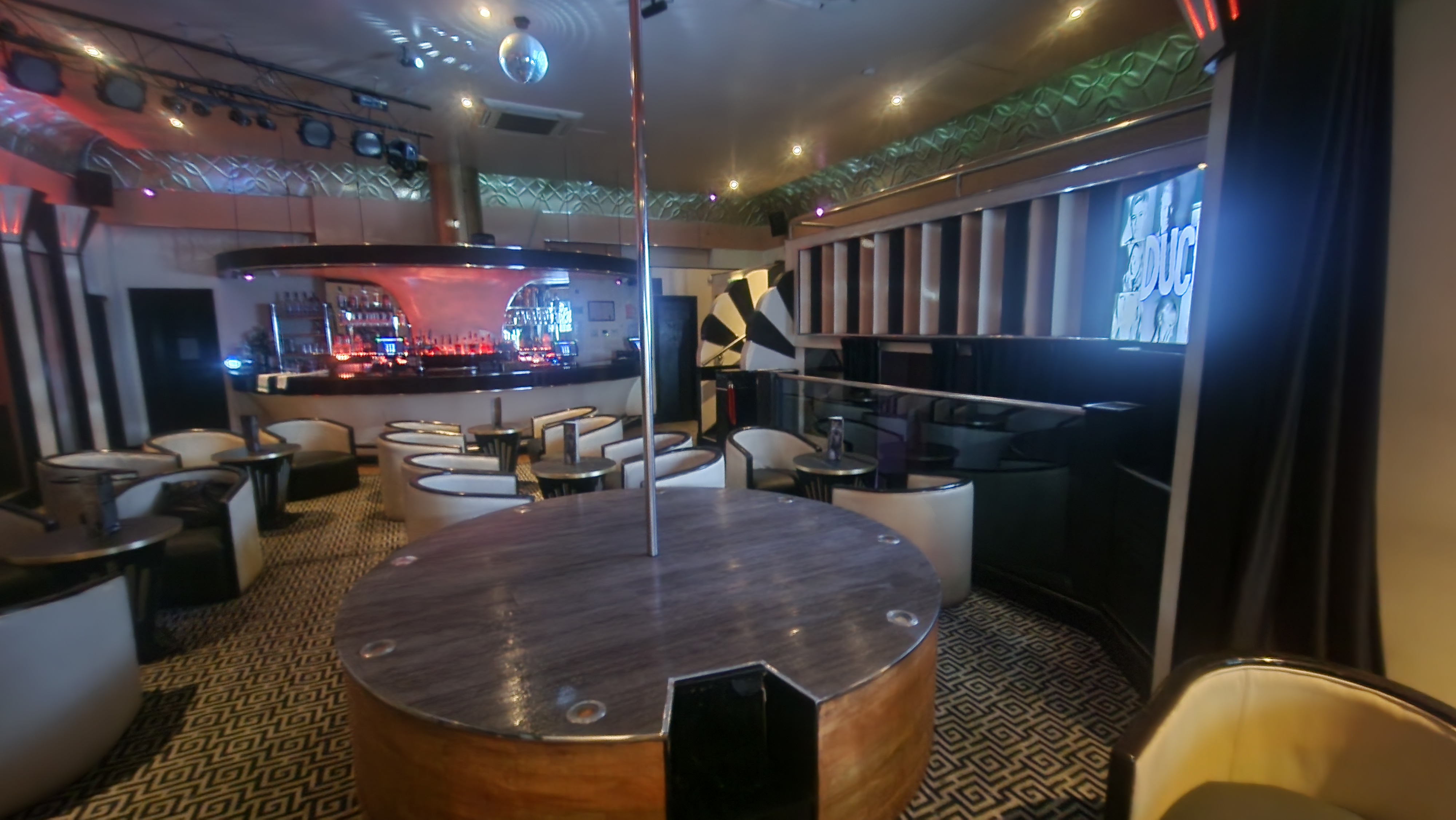 The White Swan - image 1