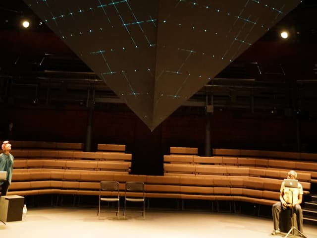 The Young Vic