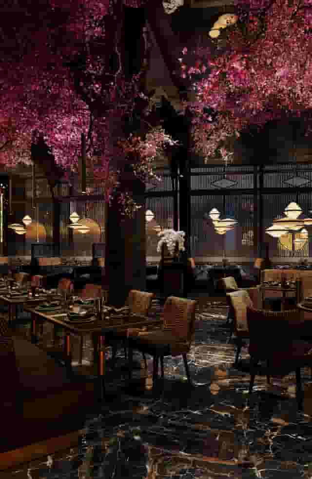 Nōshi Restaurants