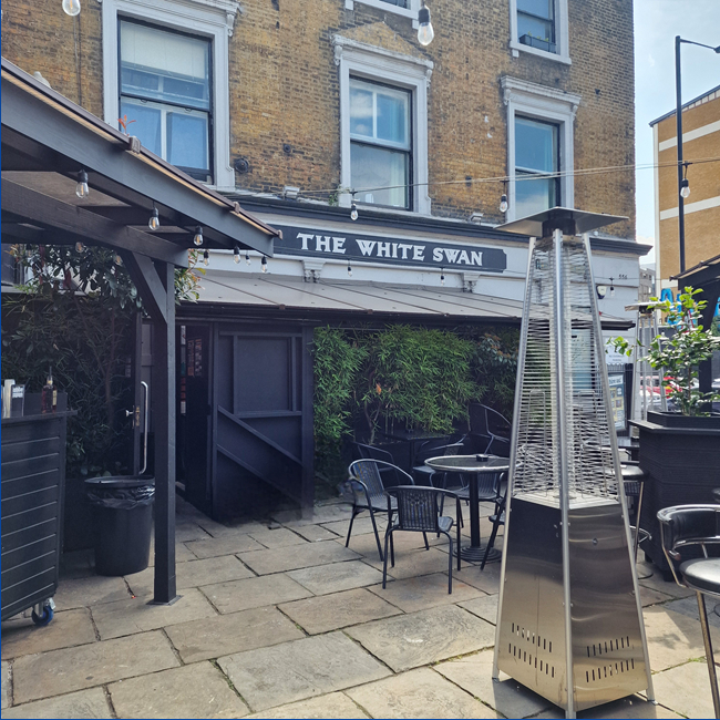 The White Swan - image 1