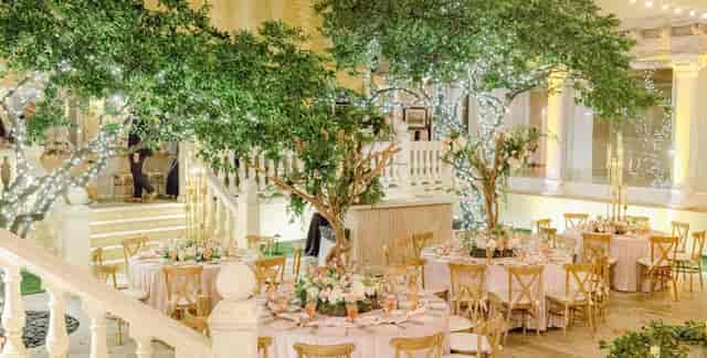 Palm House - image 2