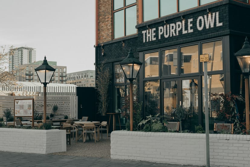The Purple Owl - image 1