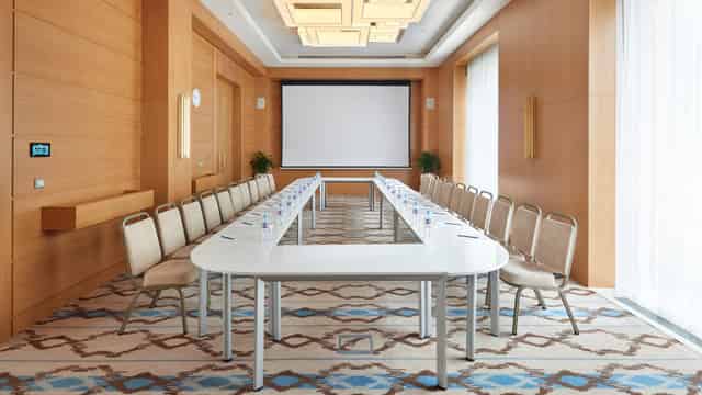Conference Halls and Meeting Rooms