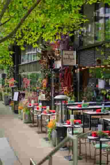 Hampstead