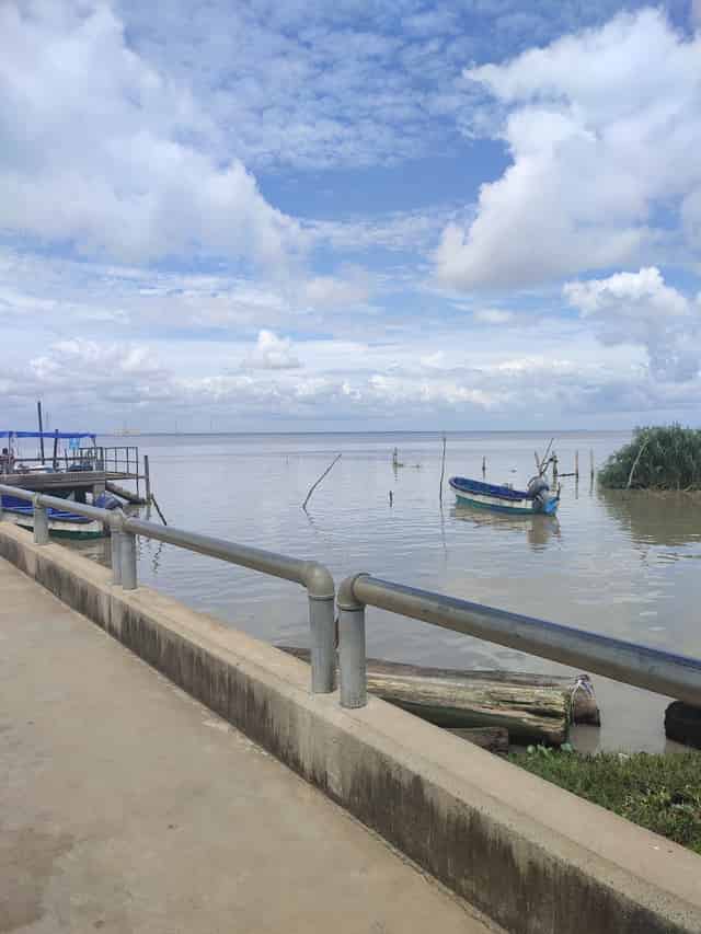 Jetty Deck