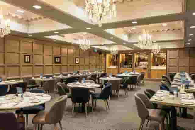 The Scott Suite