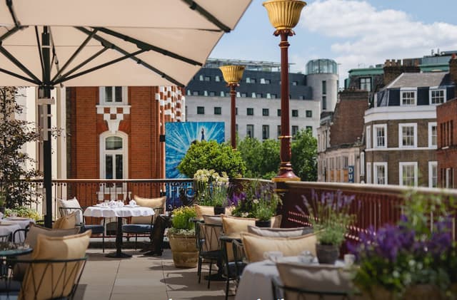 The Terrace