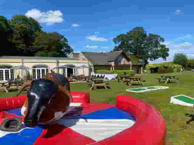 Cricket Pitch