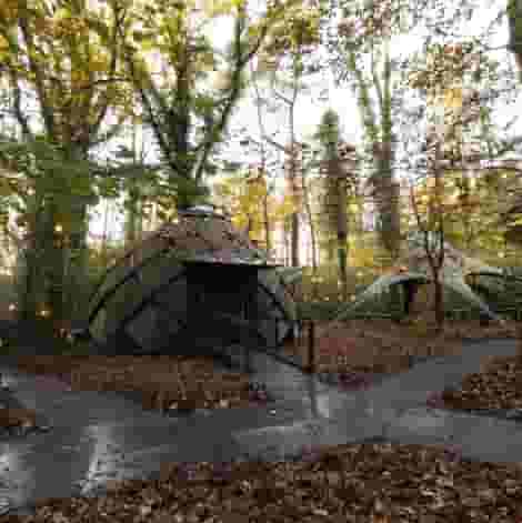 The Glade