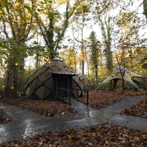 The Glade - image 3