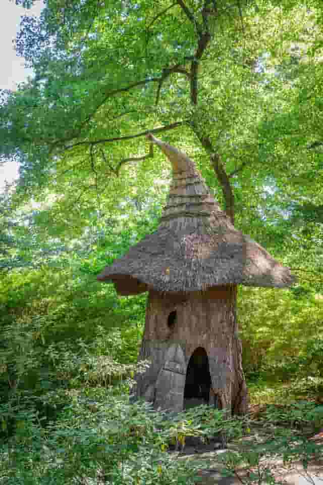 Woodland Learning Area
