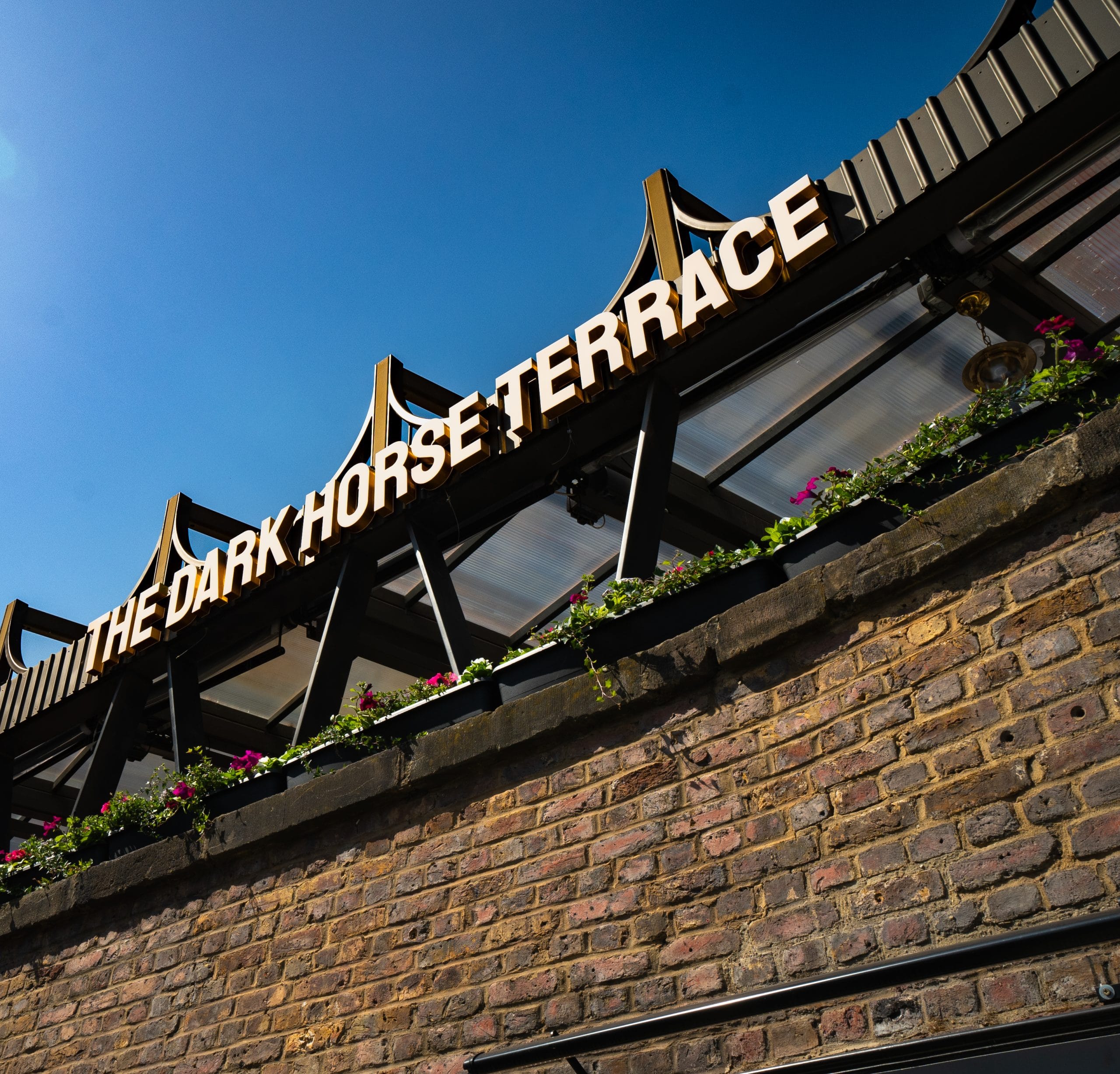 The Dark Horse - image 1