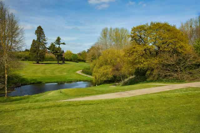 Trinity Park Events