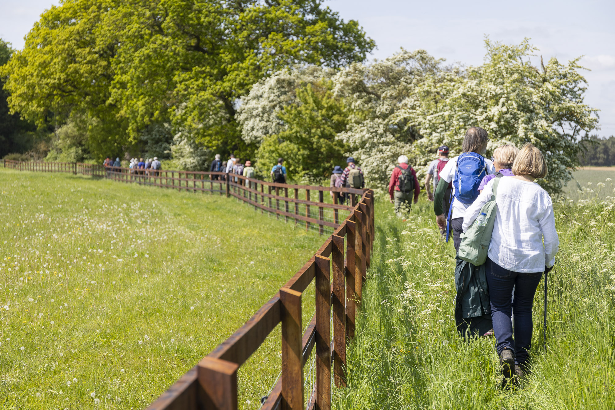 Trinity Park Events - image 1