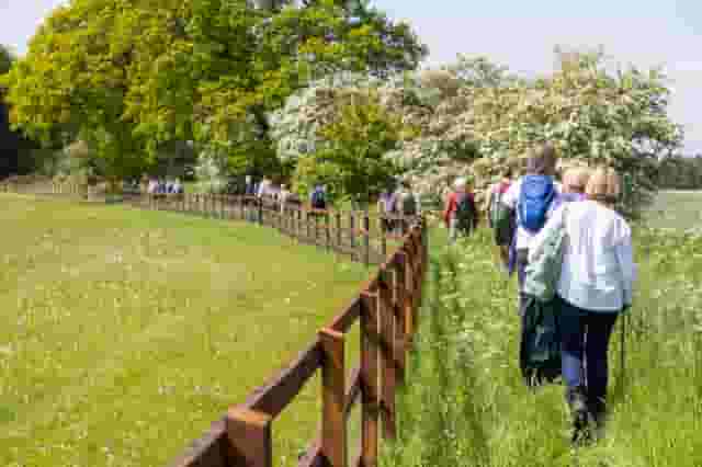 Trinity Park Events