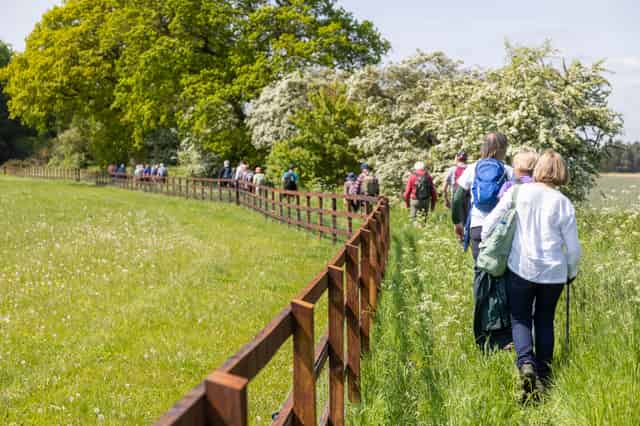 Trinity Park Events