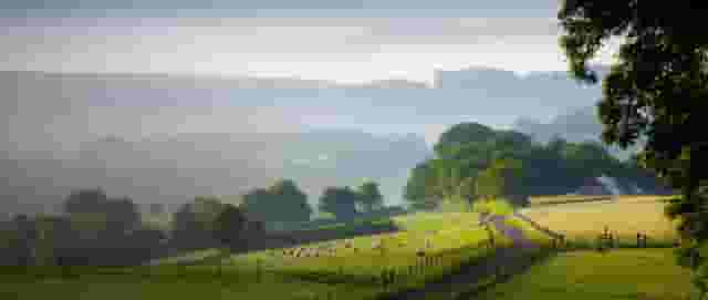 Chalke Valley Camping