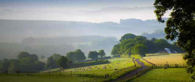 Chalke Valley Camping - image 3