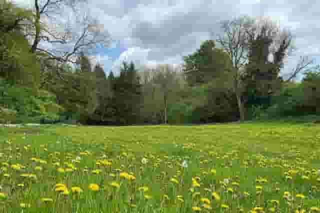 Noxon Farm