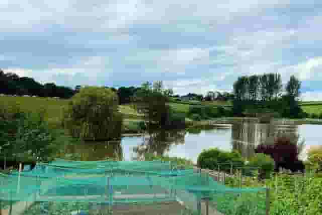 Noxon Farm