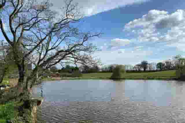Noxon Farm