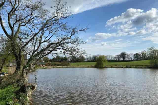 Noxon Farm - image 3