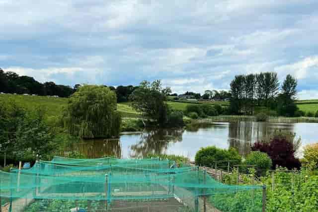 Noxon Farm - image 2