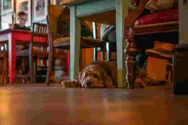 Stable Inn