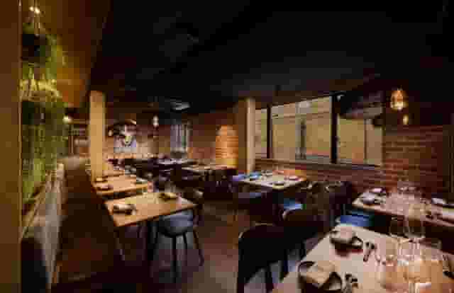 Agaveria Bar & Lounge