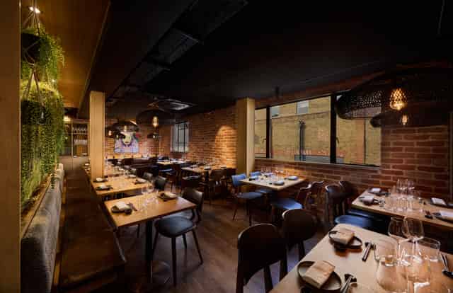 Agaveria Bar & Lounge