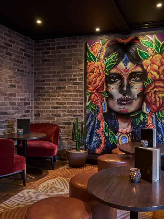 Agaveria Bar & Lounge