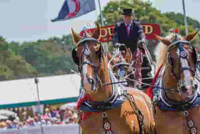 Bolesworth Showground