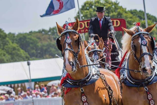 Bolesworth Showground