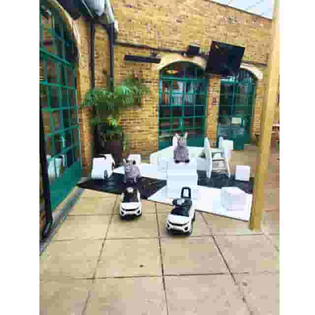 Bermondsey Village Hall Trust